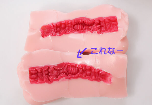 【日式测评】青春期Estrous|明明有超过700g的尺寸,为什么插入感会变成这样呢…?