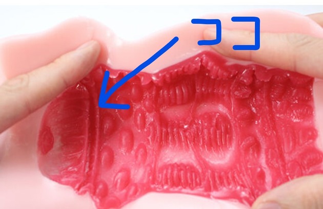 【日式测评】青春期Estrous|明明有超过700g的尺寸,为什么插入感会变成这样呢…?