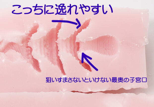 【日式测评】连续子宫细胞"In Utero"