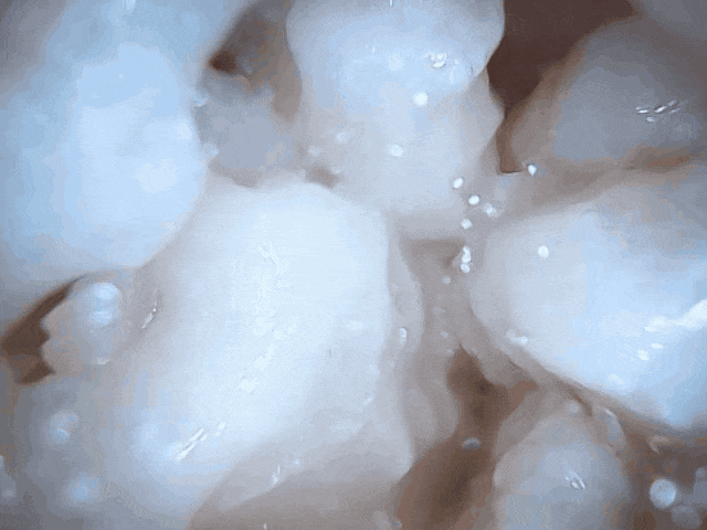 【日式测评】趁着老公不在家偷情的性欲旺盛人妻的蜜汁嫩穴