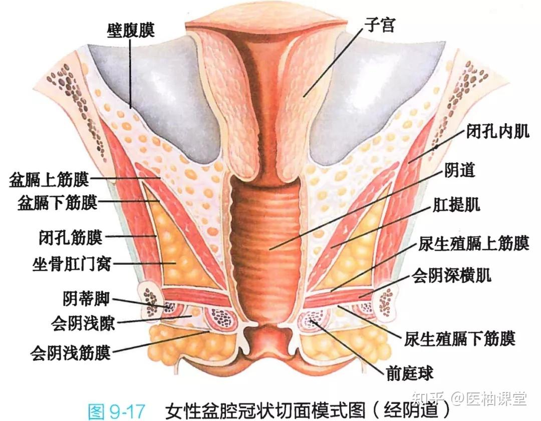 SEN模特滨崎真绪,仅凭出演一部电影获得sen签约合同的魅魔“小秘书”