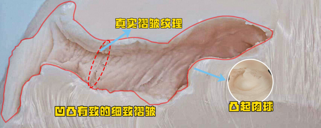 图片[28]-真实感拉满！是能超越经典款eunji的存在！是二次元更是真人复刻的SENSBODY 敏芙蓉新品测评！二次元-SENSBODY