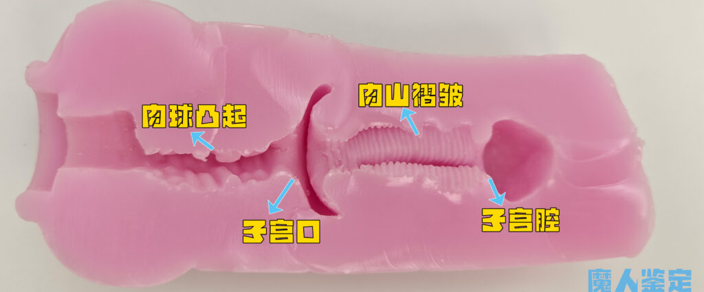 图片[26]-三段式的通道层层突破，刺激和包容感真能无缝切换？火炮—奥乃子宫测评-SENSBODY