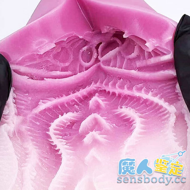 图片[14]-7-9月飞机杯好物推荐 & 多维度测评总结（10 + 款实测）-SENSBODY