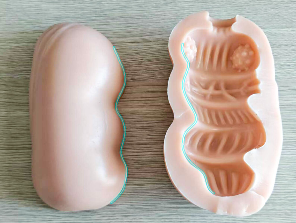 图片[10]-宽大空腔居然能带来极致的吮吸体验,仿佛进入蜜汁的口腔！A-One – 扩张！！肛门少女-SENSBODY