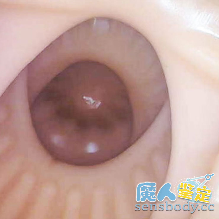 图片[8]-7-9月飞机杯好物推荐 & 多维度测评总结（10 + 款实测）-SENSBODY