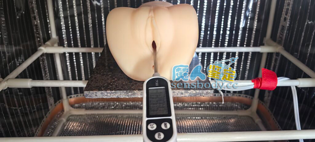 图片[11]-【所有玩具款式！！万能最佳加热解决篇】暖暖的度过一个冬天-SENSBODY