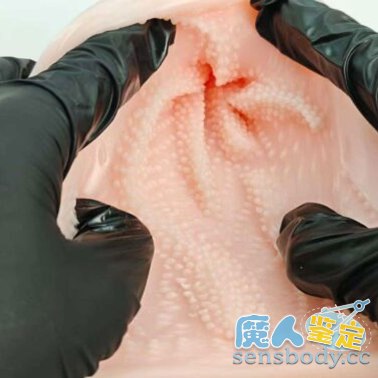 图片[4]-7-9月飞机杯好物推荐 & 多维度测评总结（10 + 款实测）-SENSBODY