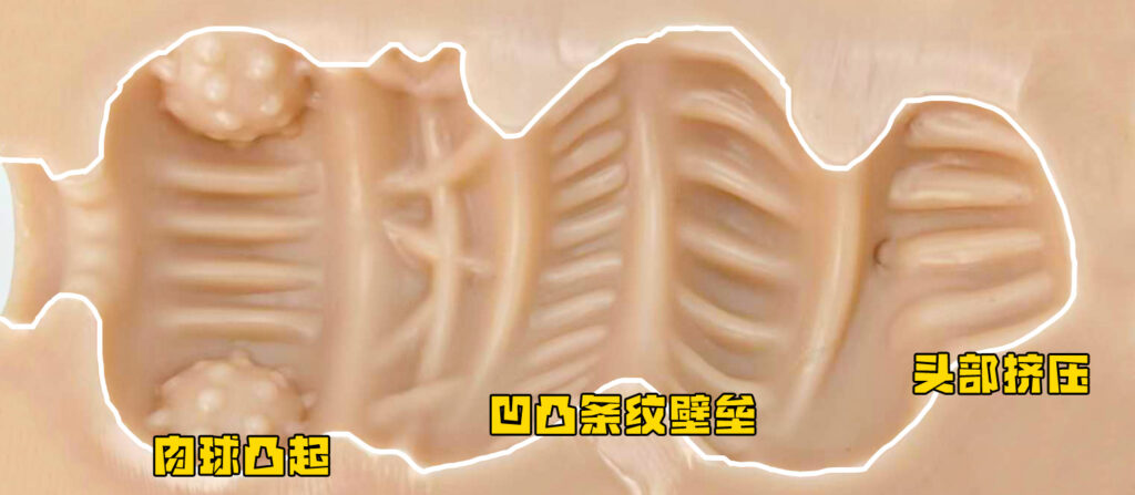 图片[22]-宽大空腔居然能带来极致的吮吸体验,仿佛进入蜜汁的口腔！A-One – 扩张！！肛门少女-SENSBODY