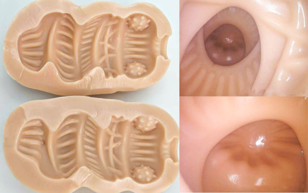 图片[24]-宽大空腔居然能带来极致的吮吸体验,仿佛进入蜜汁的口腔！A-One – 扩张！！肛门少女-SENSBODY