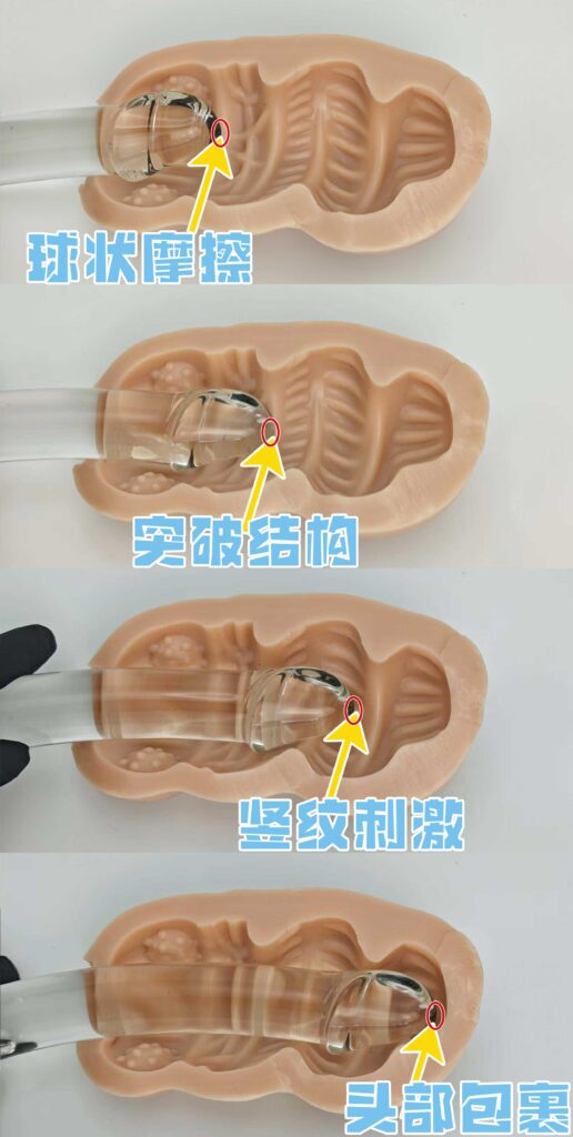 图片[25]-宽大空腔居然能带来极致的吮吸体验,仿佛进入蜜汁的口腔！A-One – 扩张！！肛门少女-SENSBODY