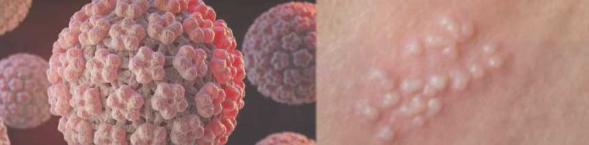 图片[23]-疣、颗粒、球…… 耐人寻味的疣状凸起  却挡不住实战的舒适满足 ！Hot Powers 当確絶頂お〇ンコ激熱フィーバー!测评-SENSBODY