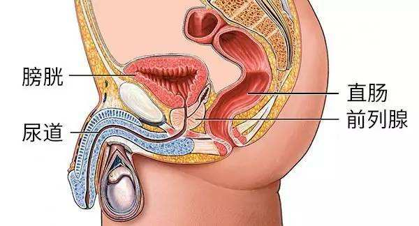 图片[46]-Magic eyes魔眼自慰布软胶肉片——神器还是智商税？便捷百变能代替杯子，却也只能停留在手动的原始感上！-SENSBODY