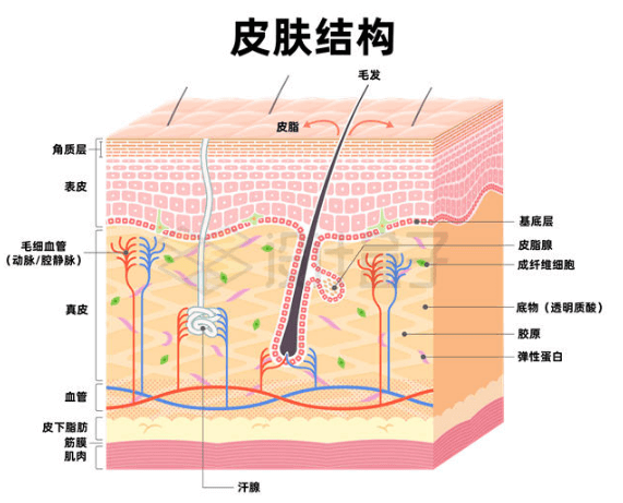 图片[10]-柔软，并非唯一解——它不是变硬了，是变稳定了！！  SENSBODY飞机杯柔软度测评-SENSBODY