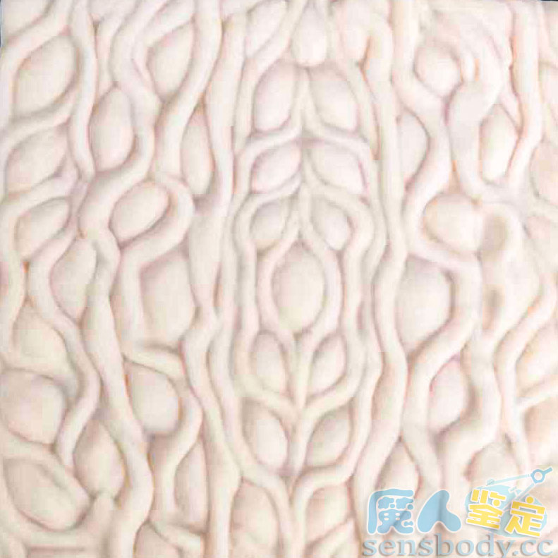 图片[47]-Magic eyes魔眼自慰布软胶肉片——神器还是智商税？便捷百变能代替杯子，却也只能停留在手动的原始感上！-SENSBODY