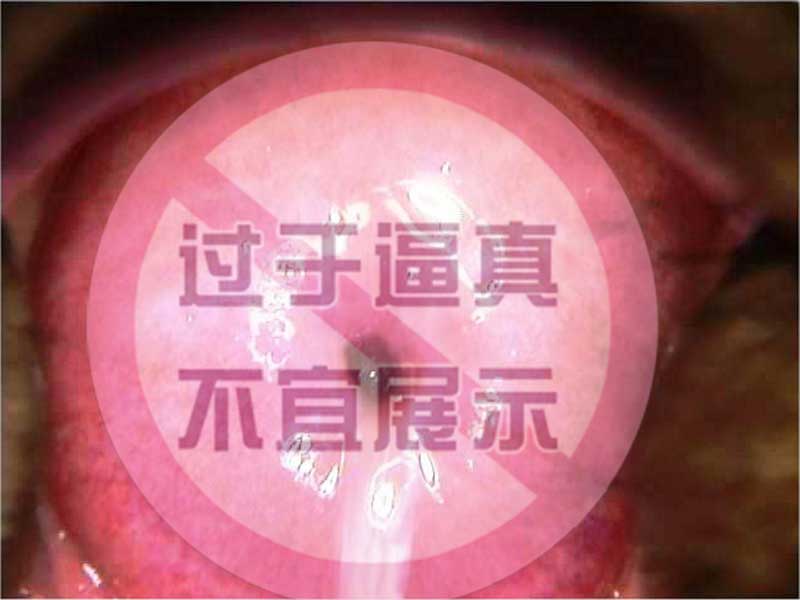 图片[29]-硬材质也能有真人感？打破手感枷锁，聚焦实战体验，这款杯子很有记忆点！ SENSBODY联名Spooning——Yu-jin测评-SENSBODY