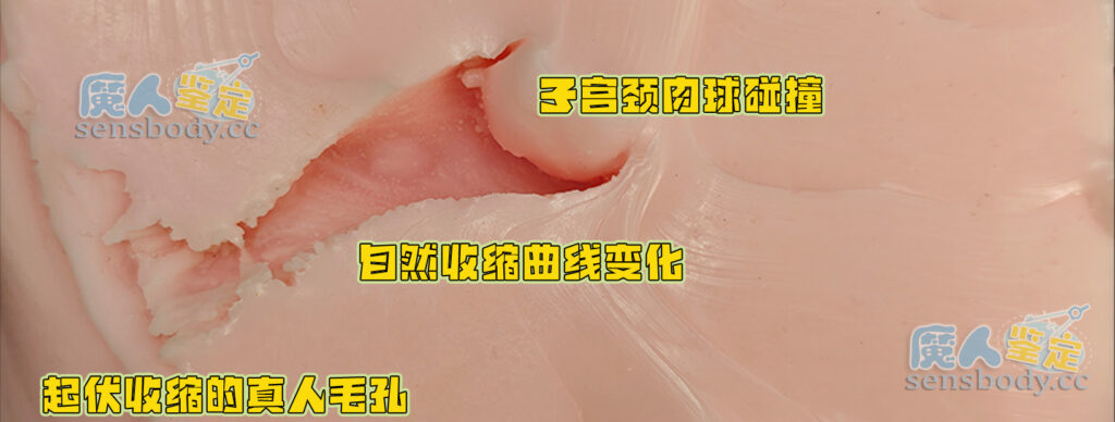 图片[30]-硬材质也能有真人感？打破手感枷锁，聚焦实战体验，这款杯子很有记忆点！ SENSBODY联名Spooning——Yu-jin测评-SENSBODY