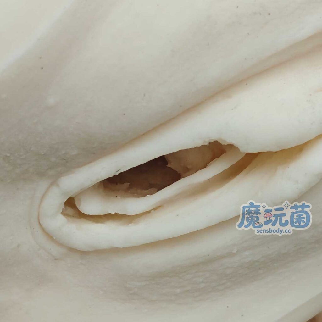 图片[21]-老配方柔软感回来了，真实包裹还能均衡新材质的弹，这样的升级能更真实舒服吗？SENSBODY——欧阳金花 测评-SENSBODY