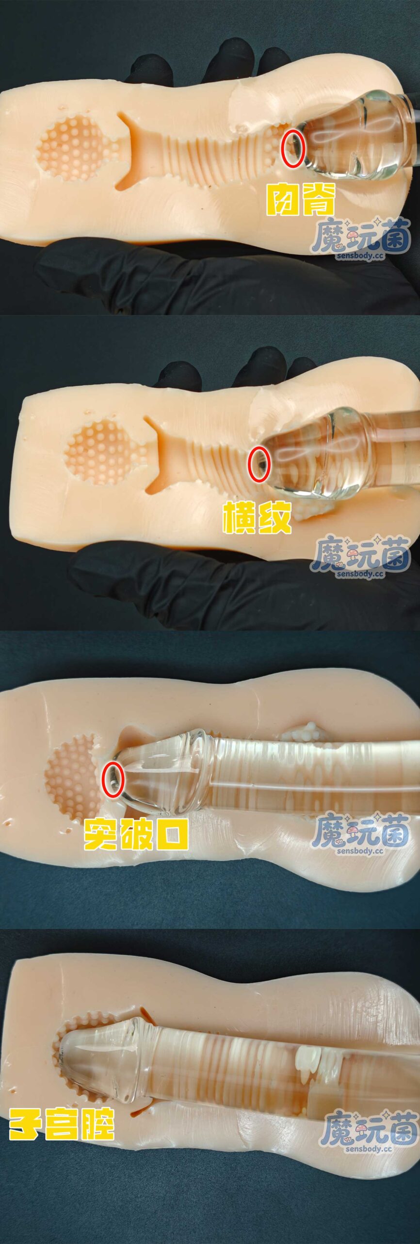 图片[28]-既咬还吸的强劲体验，手感一般但刺激度拉满，你的牛子扛得住吗？ToysHeart——無口なあのこ ビッグ BIG款 测评-SENSBODY