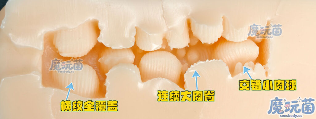 图片[22]-外表一般通道却神似齿轮切面，反差感拉满。看着凶用着爽，不靠吸力只靠摩擦也能爽到上头！“TamaToys——美弥酱的一年调教”测评-SENSBODY