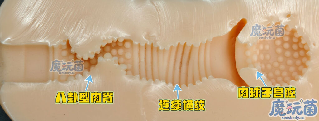 图片[23]-既咬还吸的强劲体验，手感一般但刺激度拉满，你的牛子扛得住吗？ToysHeart——無口なあのこ ビッグ BIG款 测评-SENSBODY