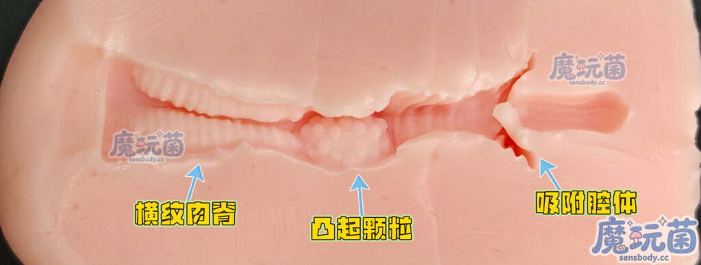 图片[22]-虎头蛇尾的通道，前半段体验拉满，后半段表现平平——杯体的脱胶小颗粒，我居然玩成了跳跳糖？Toys Heart——PUNI VIRGIN（ぷにばーじん）测评-SENSBODY