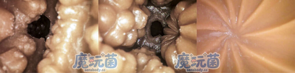 图片[31]-看着很丰满，体验很骨感！遍布全程的疣状凸起居然带来的是单一的温和摩擦感！A-ONE——性感精灵之森（伊芙琳）イヴリン SP 测评-SENSBODY