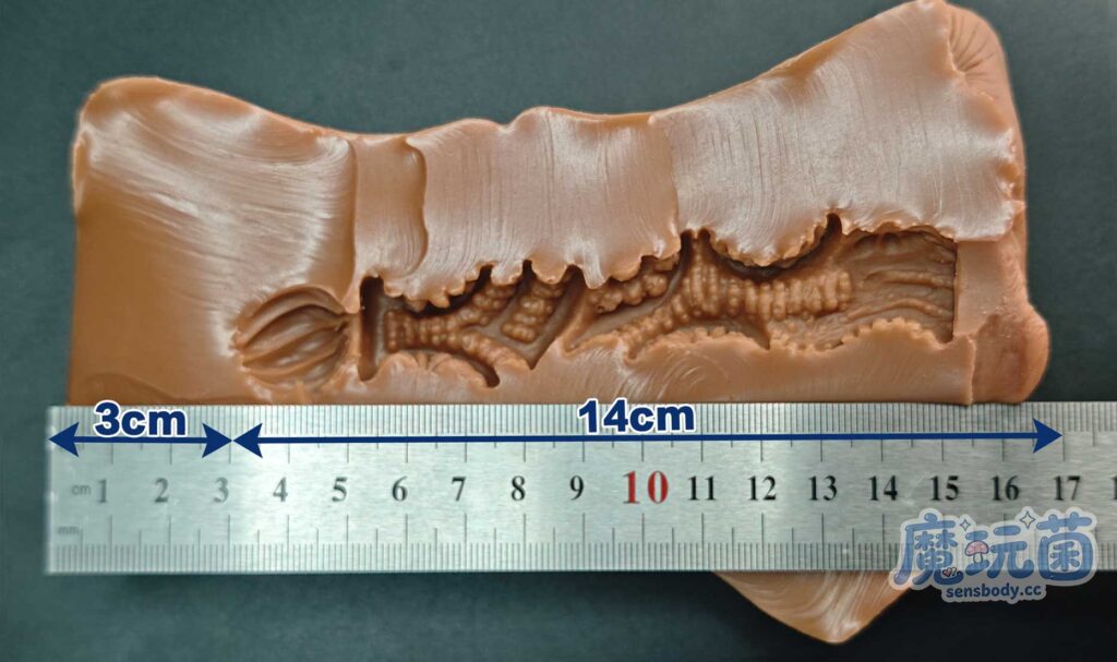 图片[27]-看着很丰满，体验很骨感！遍布全程的疣状凸起居然带来的是单一的温和摩擦感！A-ONE——性感精灵之森（伊芙琳）イヴリン SP 测评-SENSBODY