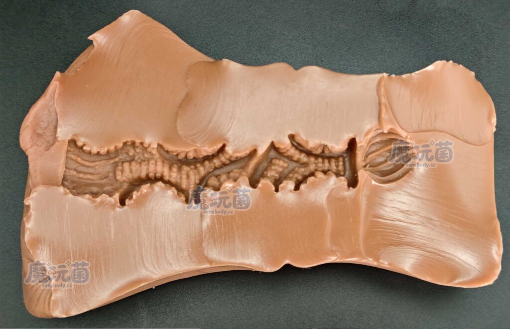 图片[26]-看着很丰满，体验很骨感！遍布全程的疣状凸起居然带来的是单一的温和摩擦感！A-ONE——性感精灵之森（伊芙琳）イヴリン SP 测评-SENSBODY