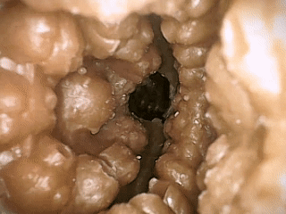 图片[32]-看着很丰满，体验很骨感！遍布全程的疣状凸起居然带来的是单一的温和摩擦感！A-ONE——性感精灵之森（伊芙琳）イヴリン SP 测评-SENSBODY