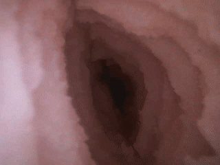 图片[32]-全程都是非对称褶皱！一半大褶皱卖力摩擦，一半小褶皱直接摸鱼，这种杯子居然也能让人爽到？Fantistic Baby—— 悠闲妖技グニュのジョリ测评-SENSBODY