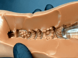 图片[34]-看着很丰满，体验很骨感！遍布全程的疣状凸起居然带来的是单一的温和摩擦感！A-ONE——性感精灵之森（伊芙琳）イヴリン SP 测评-SENSBODY