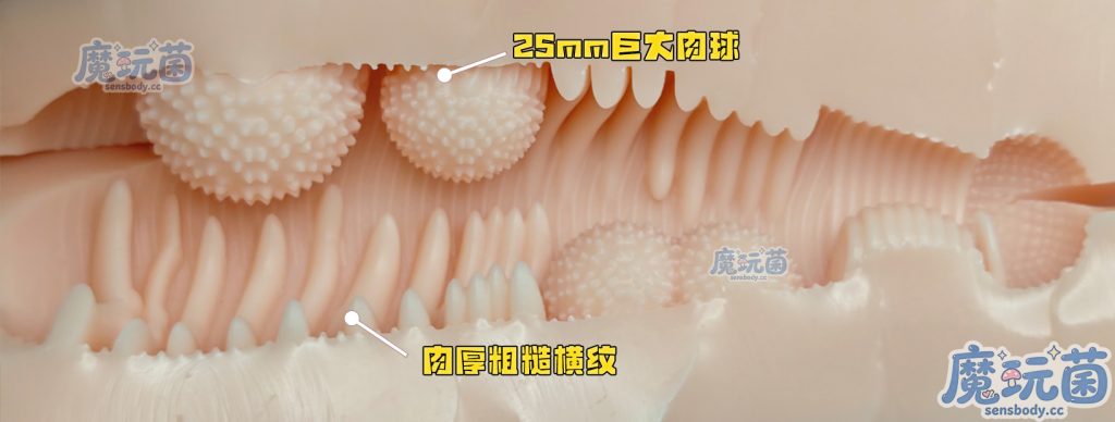 图片[23]-超级震撼的按摩大肉球与粗糙横纹带来不间断的生硬强刺激!    对子哈特——骑乘后辈 测评-SENSBODY